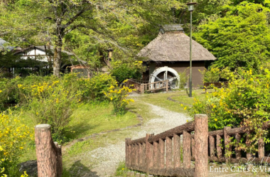 Conheça o Parque Histórico Yamabuki no Sato e a Flor Kerria Japonica